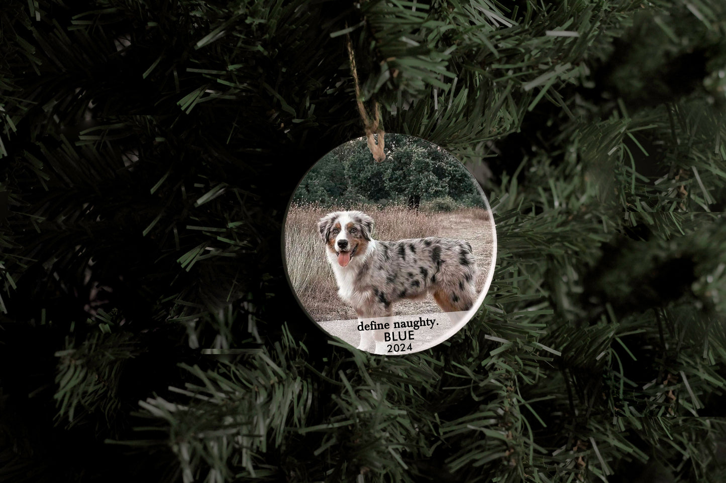 Define Naughty Pet Ornament