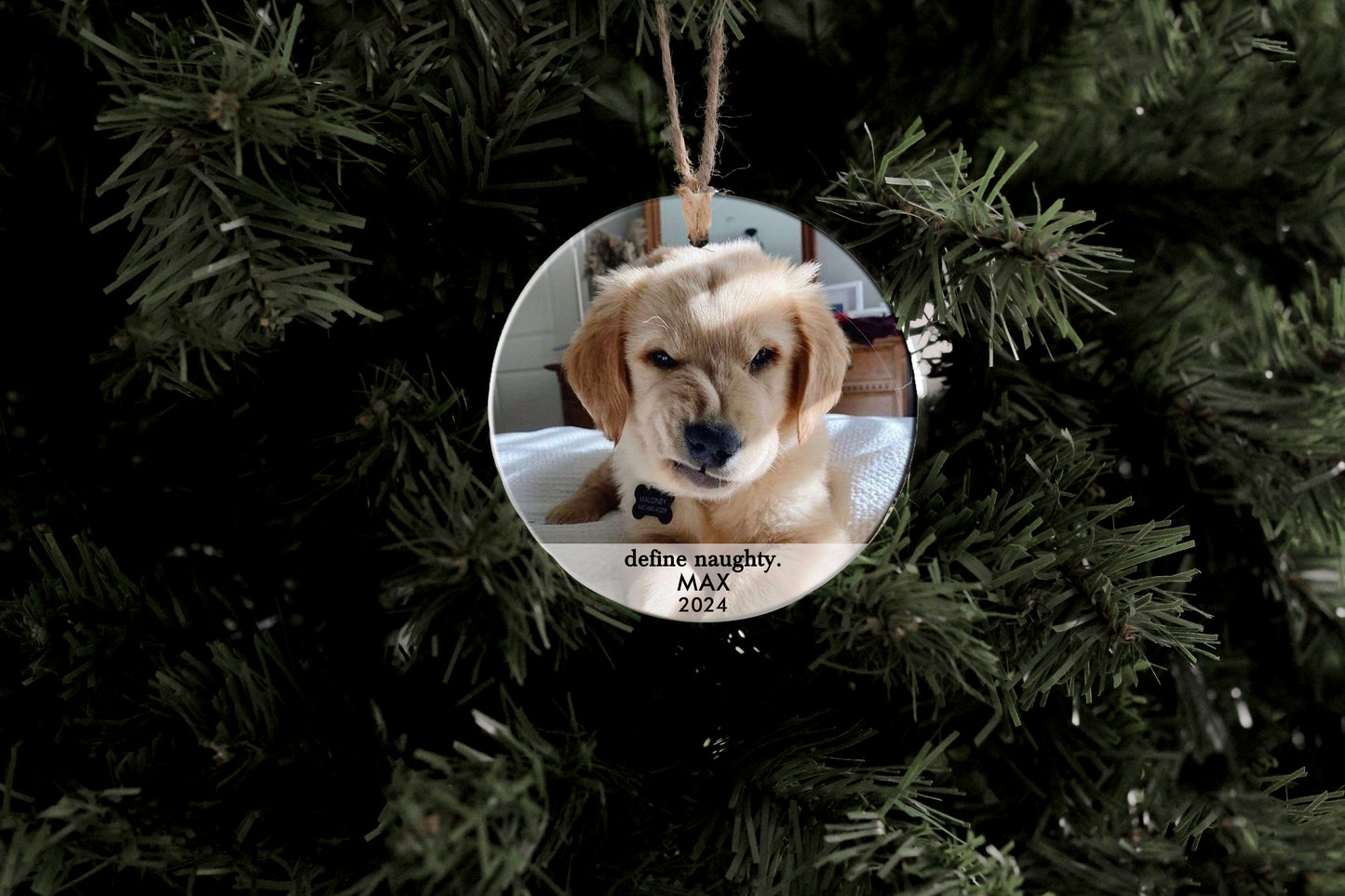 Define Naughty Pet Ornament