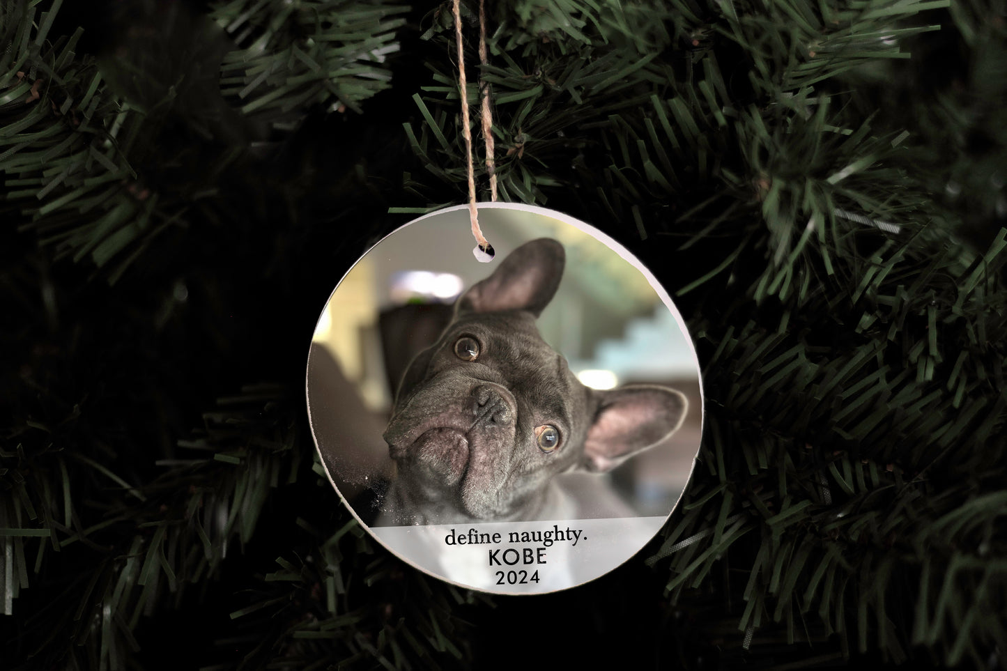 Define Naughty Pet Ornament