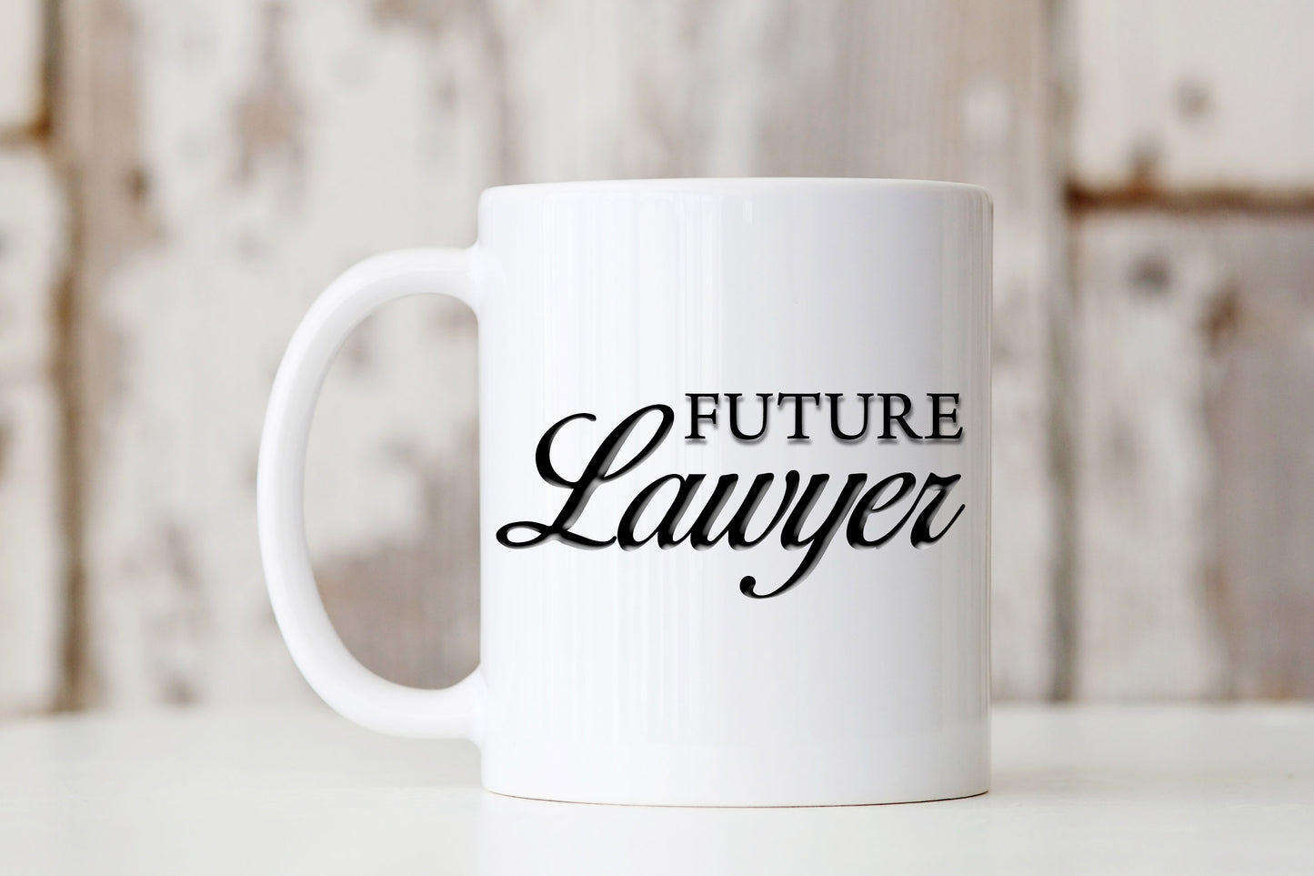 Future Lawyer Mug