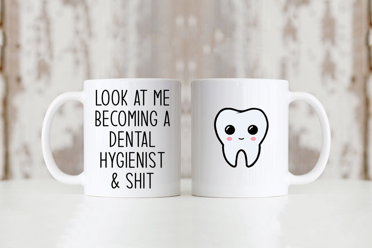 Becoming a Dental Hygienist Mug